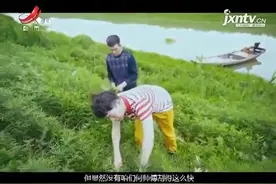 黎蒿生长在鄱阳湖底草原中，外观平淡无奇，有着一股独特的香味视频封面