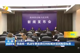 陕西省统一机动车事故责任纠纷城乡居民赔偿标准视频封面