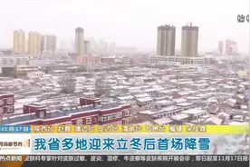 陕西多地迎来立冬后首场降雪 榆林境内多条高速一度交通临时管制视频封面