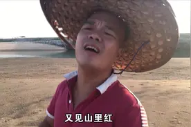 光哥霸气的翻唱《又见山里红》海边的景色美，但歌声更顺耳更陶醉视频封面