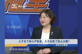 儿子名下的小产权房，儿子去世了怎么分割？视频封面