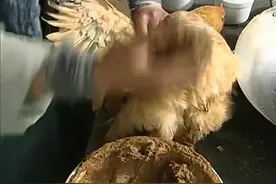 小伙做叫花鸡，直接往活鸡身上抹泥巴，成品一出锅观众都看嗨了视频封面