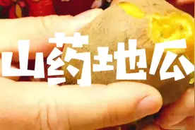 地瓜呼叫土豆，土豆呼叫红薯，地瓜红薯山药？傻傻分不清楚视频封面