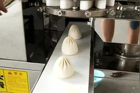 仿手工包子机 小笼包子机 包子机蒸包子视频演示