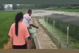 投资15万短短5个月，利润竟过15万，是什么有这么高的经济效益