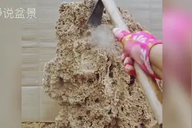 购买回来一块上水石，师傅教你快速制作假山盆景，造型栩栩如生！视频封面