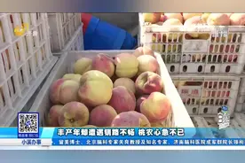 巨野：桃子丰产 120亩产量达数十万斤