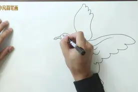 自由翱翔的海鸥怎么画呢？小凡简笔画教你轻松学会，海鸥简笔画