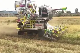 农用机械：履带式小麦收获机现场作业，速度这么快，挂的5档吗视频封面