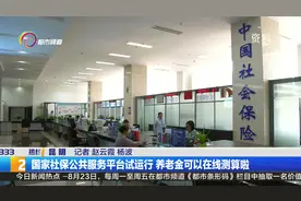 国家社保公共服务平台上线试运行  多项功能实现全国性跨地区服务视频封面