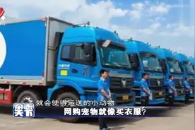 普通快递寄动物风险大 网络宠物交易需规范视频封面
