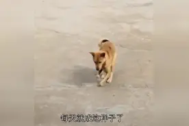 刚看到几个小伙子不会好好走路，我给你们学一下