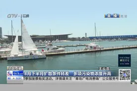 青岛8月份空气质量成绩单出炉！看看你住的地方得了几分？