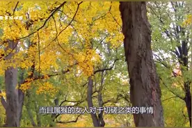 这三大生肖，越是喜欢你越喜欢吃醋，不要反感他，只是很在乎你视频封面