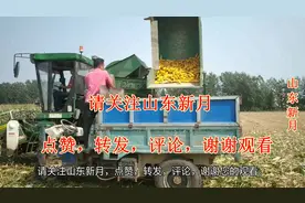 农民大叔130000块钱买大型玉米收割机，一年能挣多少钱？你信吗？视频封面