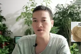 提高裸根苗木移栽成活率的三大要点视频封面