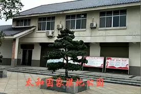 阜阳太和国家湿地公园