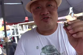 京郊大姐卖麻辣田螺，15一斤，3小时卖光100斤，来晚根本买不着！视频封面