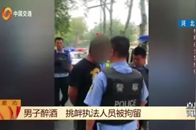 男子醉酒挑衅交警，发泄心中不满，结果直接被公安拘留！