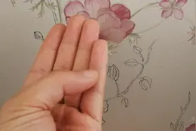 玄门五术，天干地支阴阳五行、六十甲子掌诀！视频封面