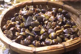 河里捡点黄沙蚬，用蘑菇炖汤，只用放生姜和盐，特别鲜甜！