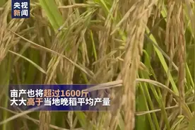 袁隆平“巨稻6号”水稻首次测产 亩产1676斤