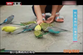 中秋假期的好去处，来南宫泡温泉简直太享受，快来感受一下吧视频封面