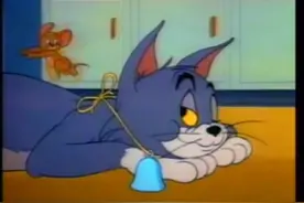 云南方言：汤姆教小老鼠怎么躲避天敌猫咪，自己却各种被猫虐！视频封面