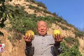 76岁老人研发的科学成就视频封面