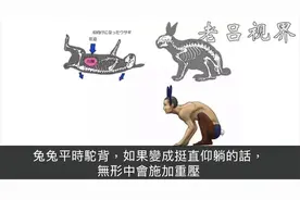 超狂书师用人骨來表現出動物的骨骼結構烏龜人、企鵝人原來長這樣视频封面