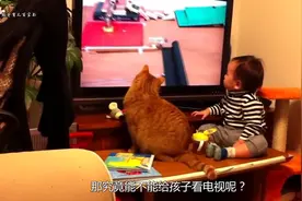 能不能给孩子看电视？2岁前最好不要，2岁后也有很多需要注意视频封面