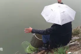 上午天晴下午落雨到底好不好钓鱼？看看老钓友上鱼的节奏就知道了视频封面