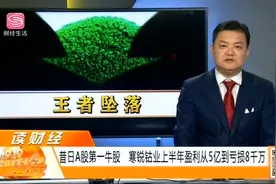累计涨幅1214%，2017A股第一牛股，寒锐钴业从盈利5亿到亏损8千万视频封面