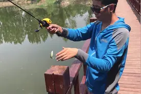 路亚飞蝇钩线组，钓白条视频封面