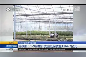 民政部：6-9月全国清退不符合条件低保对象185万人视频封面