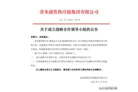 重走安能老路的壹米滴答，终究没能像安能一样爬坑过坎图片