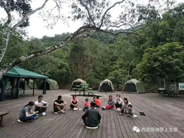 懒腰app逾期，森林公园湄公河水底世界门票多少价钱 配图23