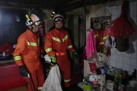 大蛇迷失方向，贵州六枝消防解民忧图片