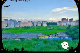 看这里，治愈你的眼睛图片