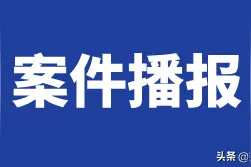 夫妻闹矛盾 ，女婿火烧岳母房子泄愤获刑三年图片