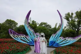 宁波公园大集合图片