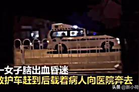 女子散步突然脑出血晕倒，金毛急中生智救主人，但下场却令人唏嘘图片