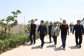 太原市清徐县：王剑峰调研指导乡村旅游发展工作图片