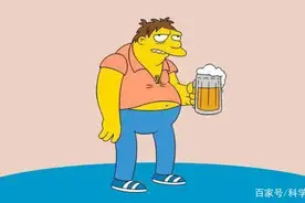 啤酒肚与啤酒并没有关系！那么啤酒肚究竟是怎样形成的?图片
