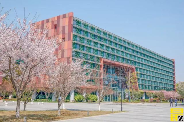 苏州“贵族” :西交利物浦