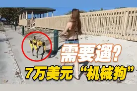 回头率100%！美国女子街头遛价值7.5万美元“机械狗”图片