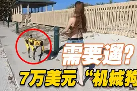 回头率100%！美国女子街头遛价值7.5万美元“机械狗”图片