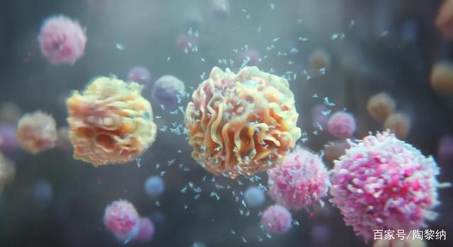 这个疫苗科普，扫了陶医生的盲