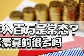 小视频里动不动就年入百万？官方数据来了，富豪真没那么多图片