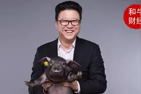 丁磊：我为什么养猪？中国没多少值得做的好生意图片